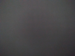 Foto de Thales Oliveira 
