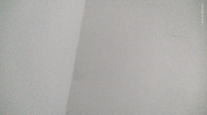 Foto de Manuela  Vieira 